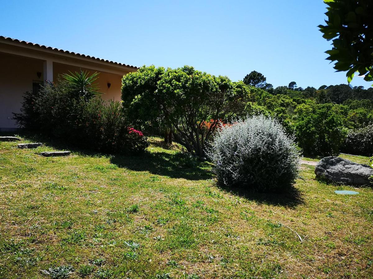 Appartements Avec Jardin Entre Porto-Vecchio Et Figari - Casa Mattiste 索塔 外观 照片